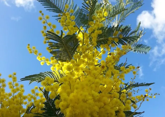 Charmante Maison De A 400m De La - Fr-1-323-565