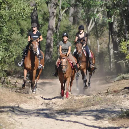 Hébergement de vacances Charmante Maison De à 400m De La - Fr-1-323-565