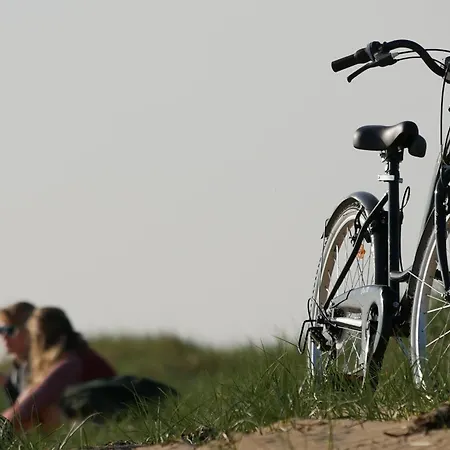 Hébergement de vacances Charmante Maison De à 400m De La - Fr-1-323-565 *