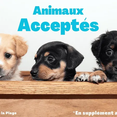 Charmante Maison De A 400m De La - Fr-1-323-565 Hébergement de vacances *