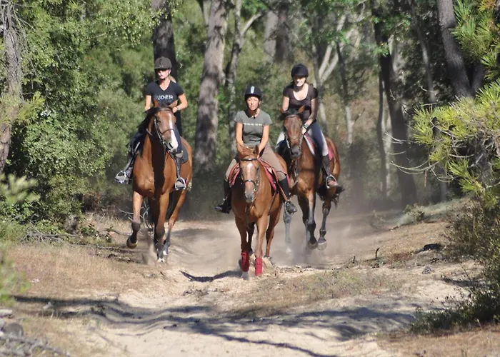 Hébergement de vacances Charmante Maison De à 400m De La - Fr-1-323-565